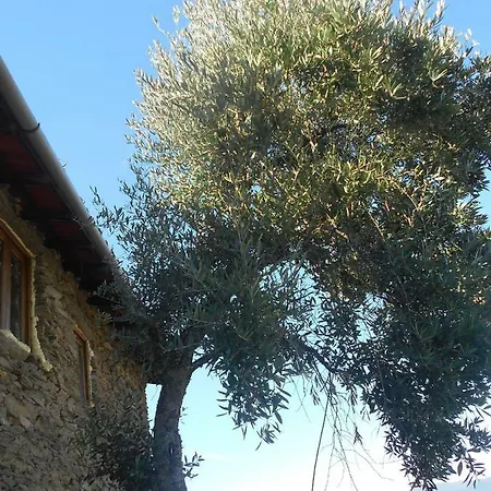 Casa Da Vinha Em Tabuaco - Douro Villa Exterior photo