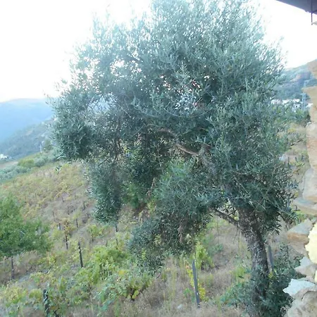 Casa Da Vinha Em Tabuaco - Douro Villa Exterior photo