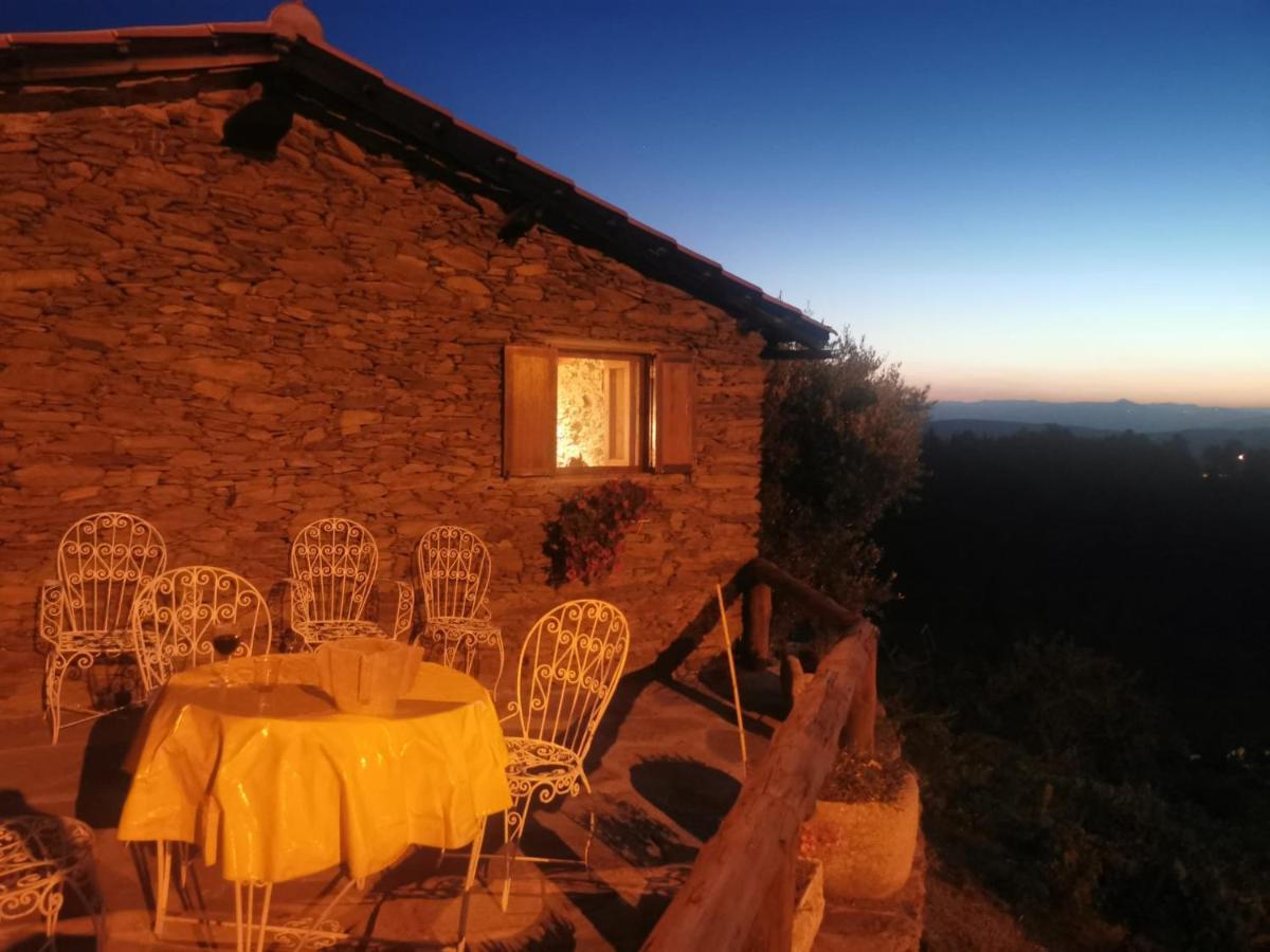 Casa Da Vinha Em - Douro Holiday home