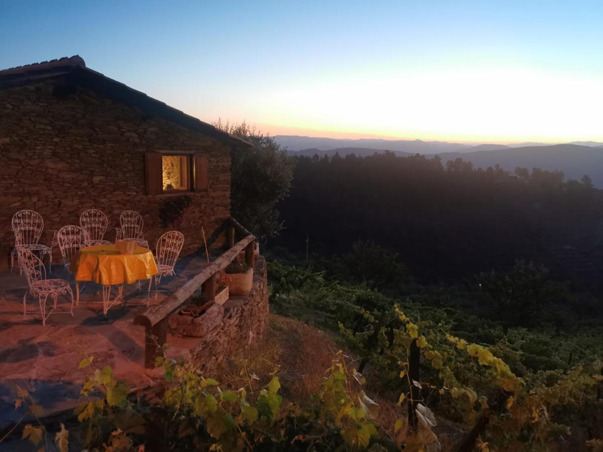 Casa Da Vinha Em - Douro