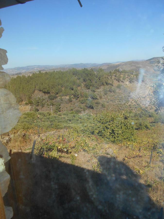 Casa Da Vinha Em - Douro * Tabuaco