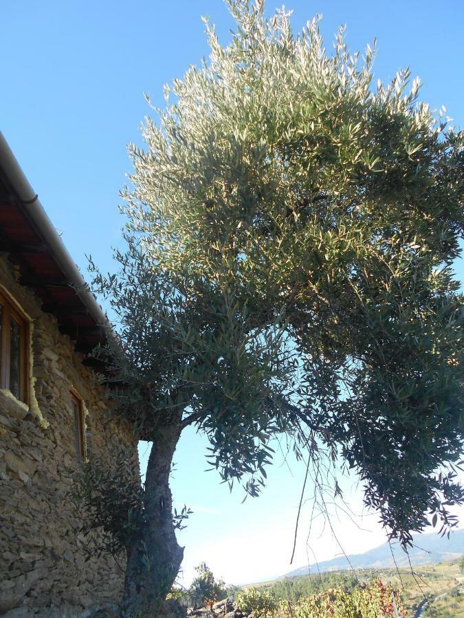 Holiday home Casa Da Vinha Em - Douro *