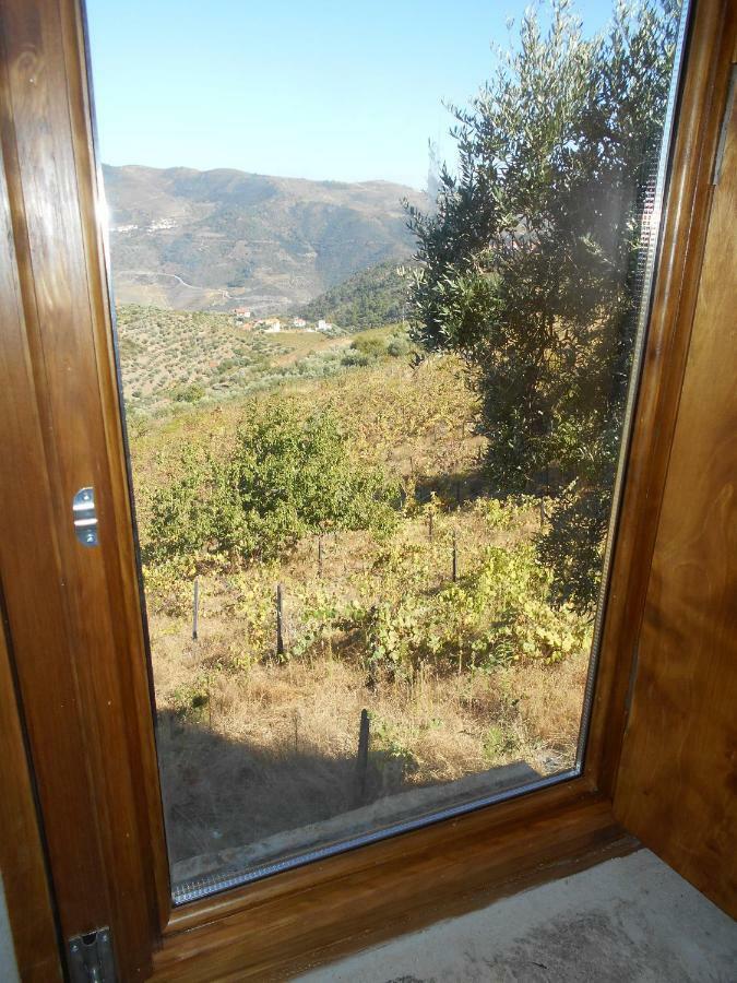 Casa Da Vinha Em - Douro Holiday home *