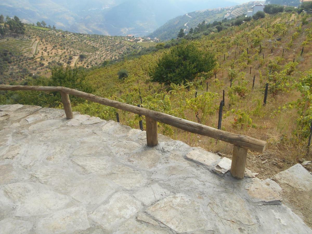 Casa Da Vinha Em - Douro Holiday home