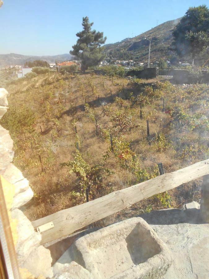 Casa Da Vinha Em - Douro