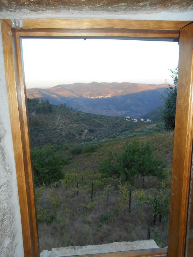 Casa Da Vinha Em - Douro *
