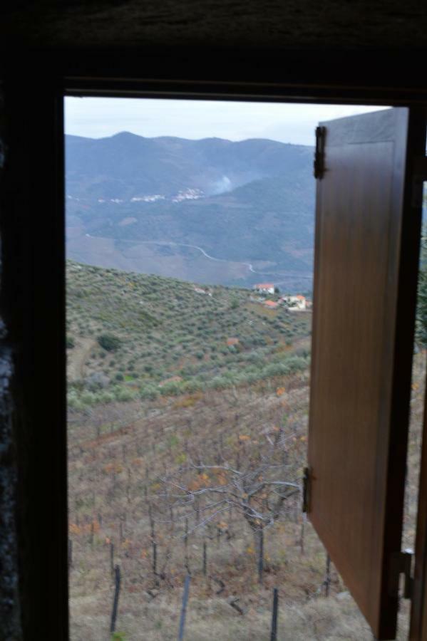 Casa Da Vinha Em - Douro * Tabuaco
