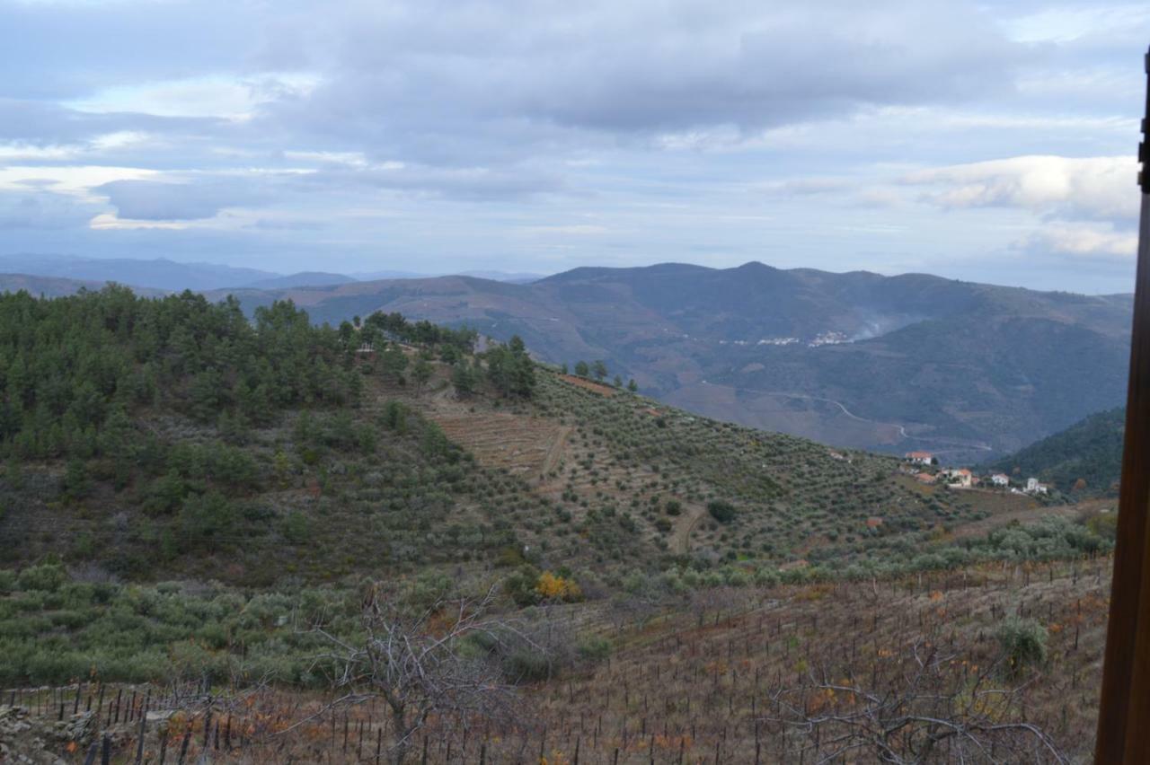 Casa Da Vinha Em - Douro Holiday home Tabuaco
