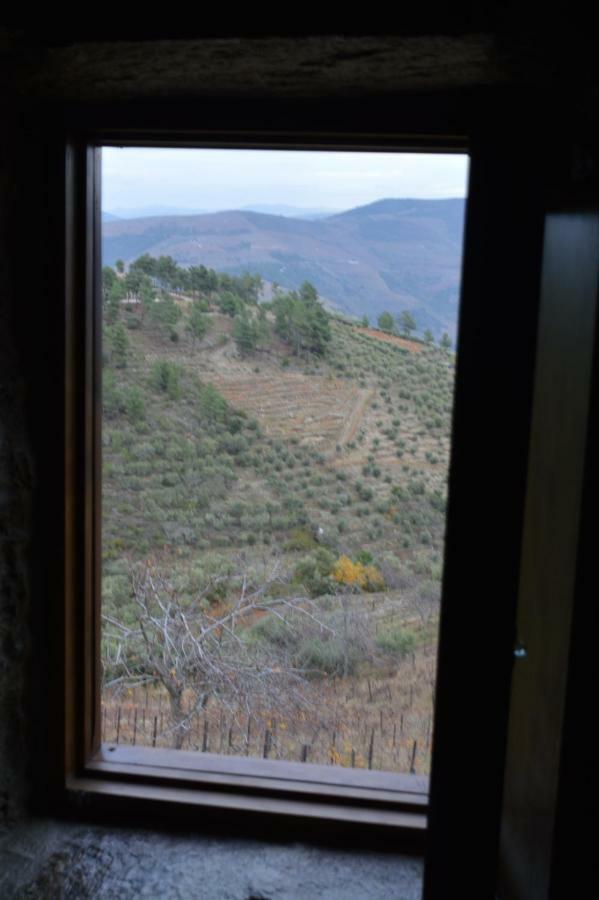 Casa Da Vinha Em - Douro *