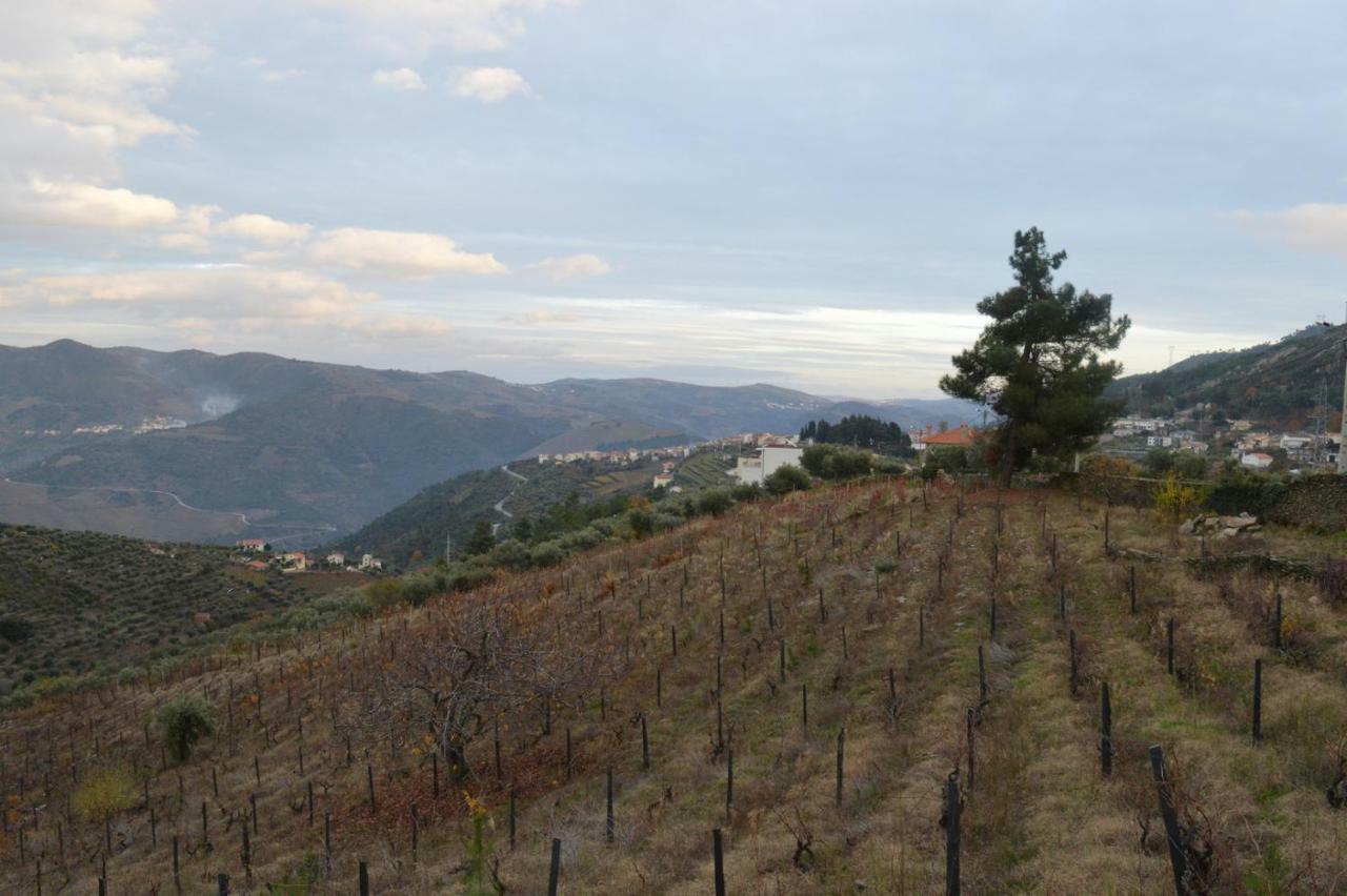 Casa Da Vinha Em - Douro Holiday home *
