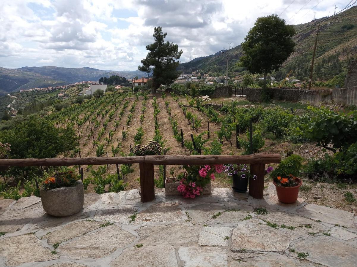 Holiday home Casa Da Vinha Em - Douro Tabuaco