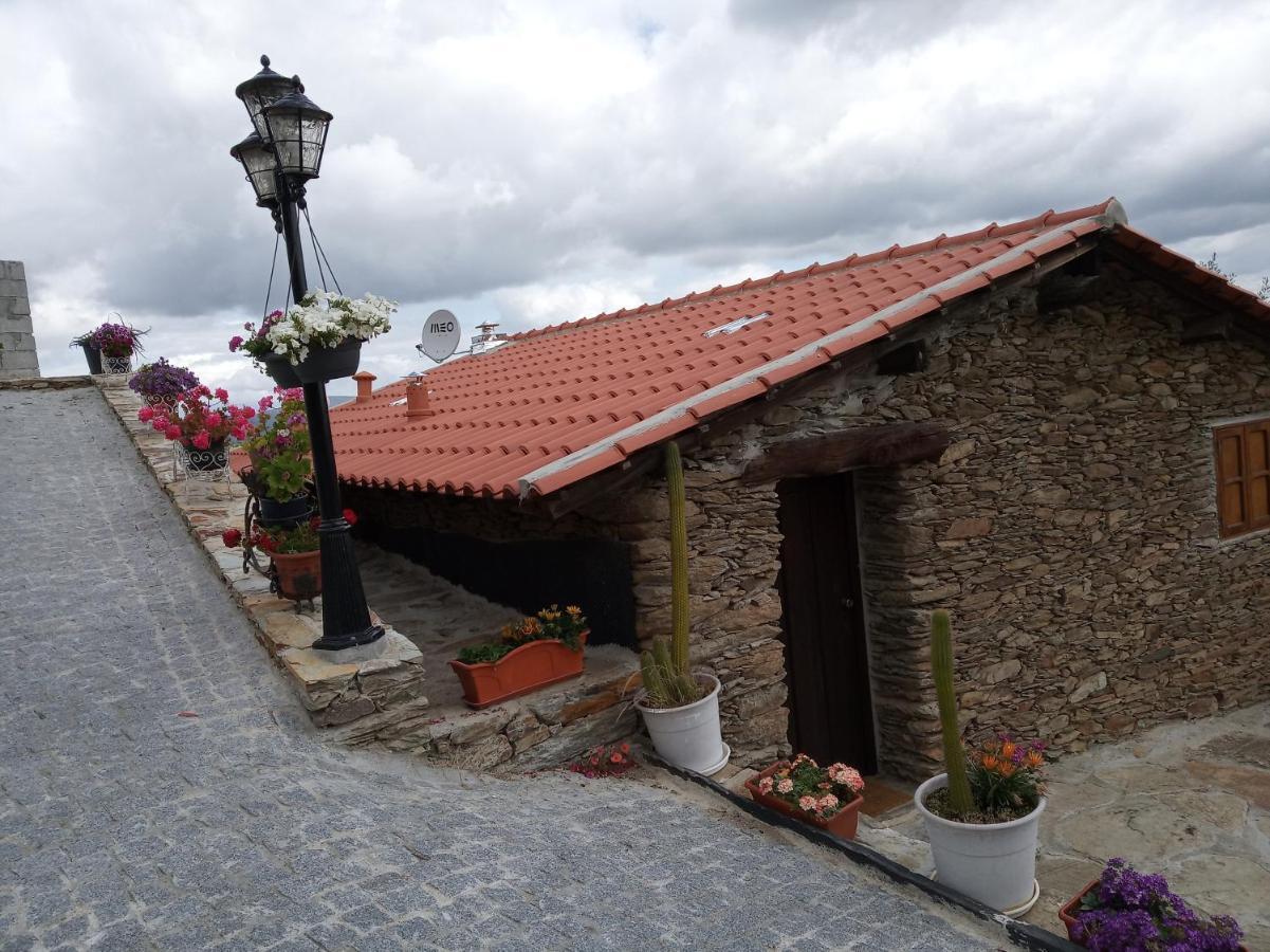 Holiday home Casa Da Vinha Em - Douro